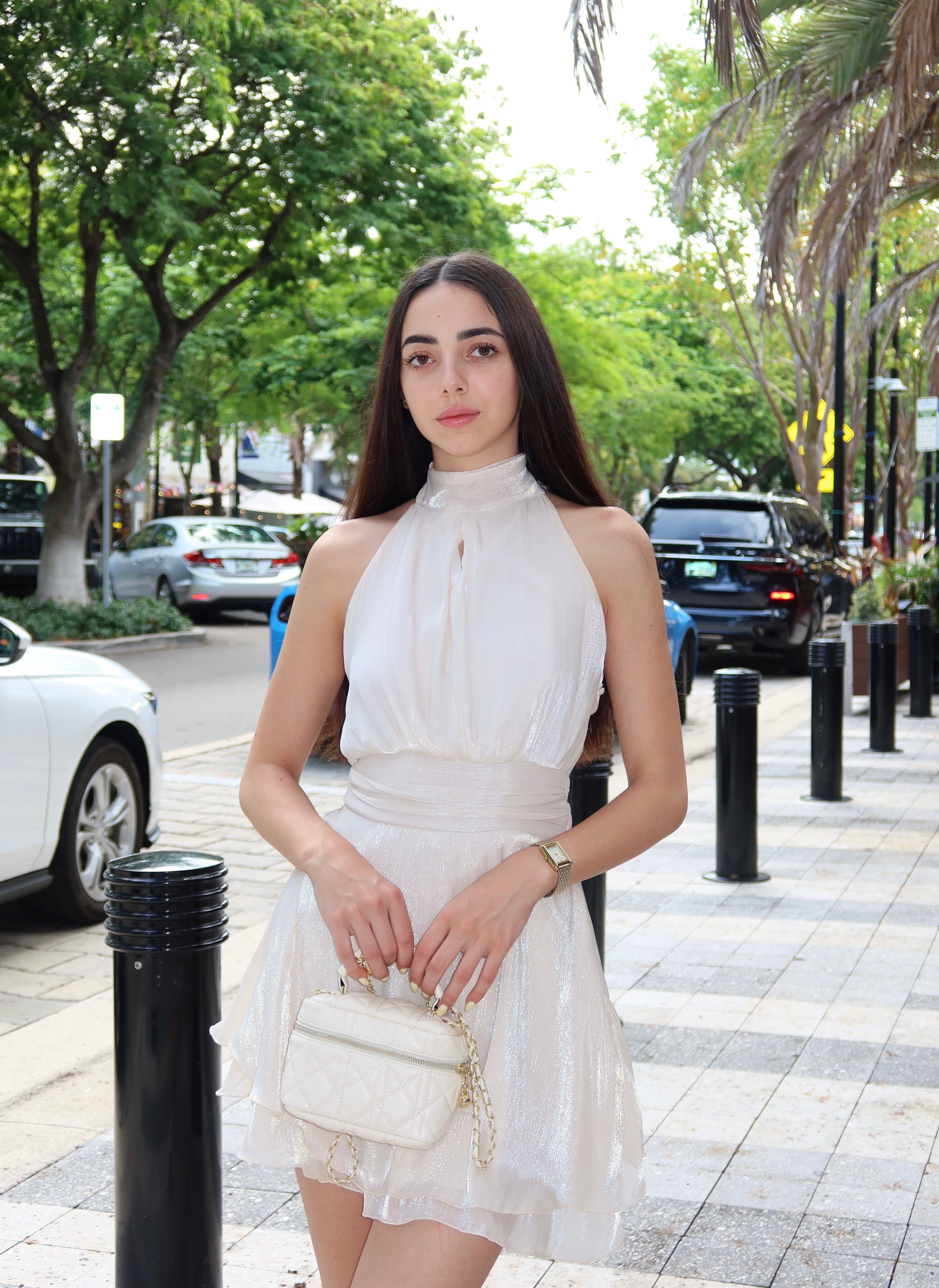 Organza Mini Dress