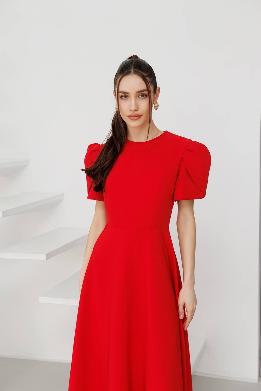 Elegant midi dress