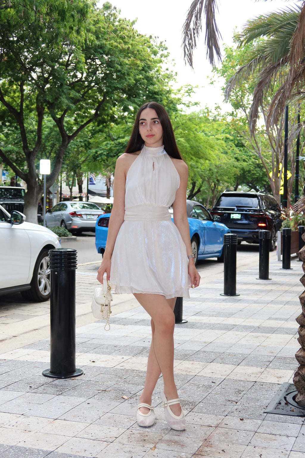 Organza Mini Dress✨