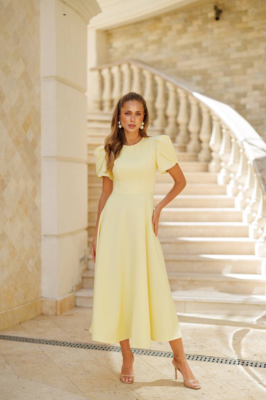 Elegant midi dress