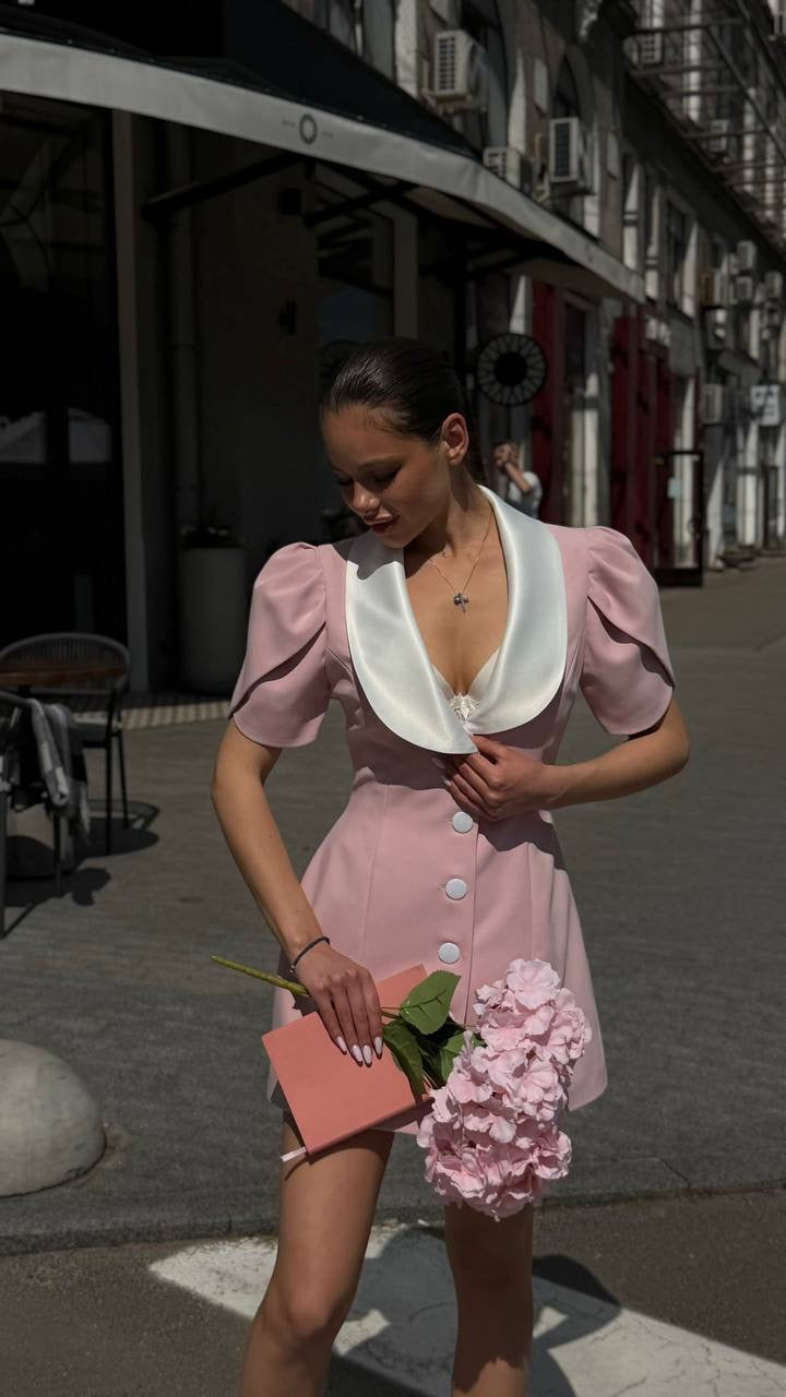 Elegant Mini Dress