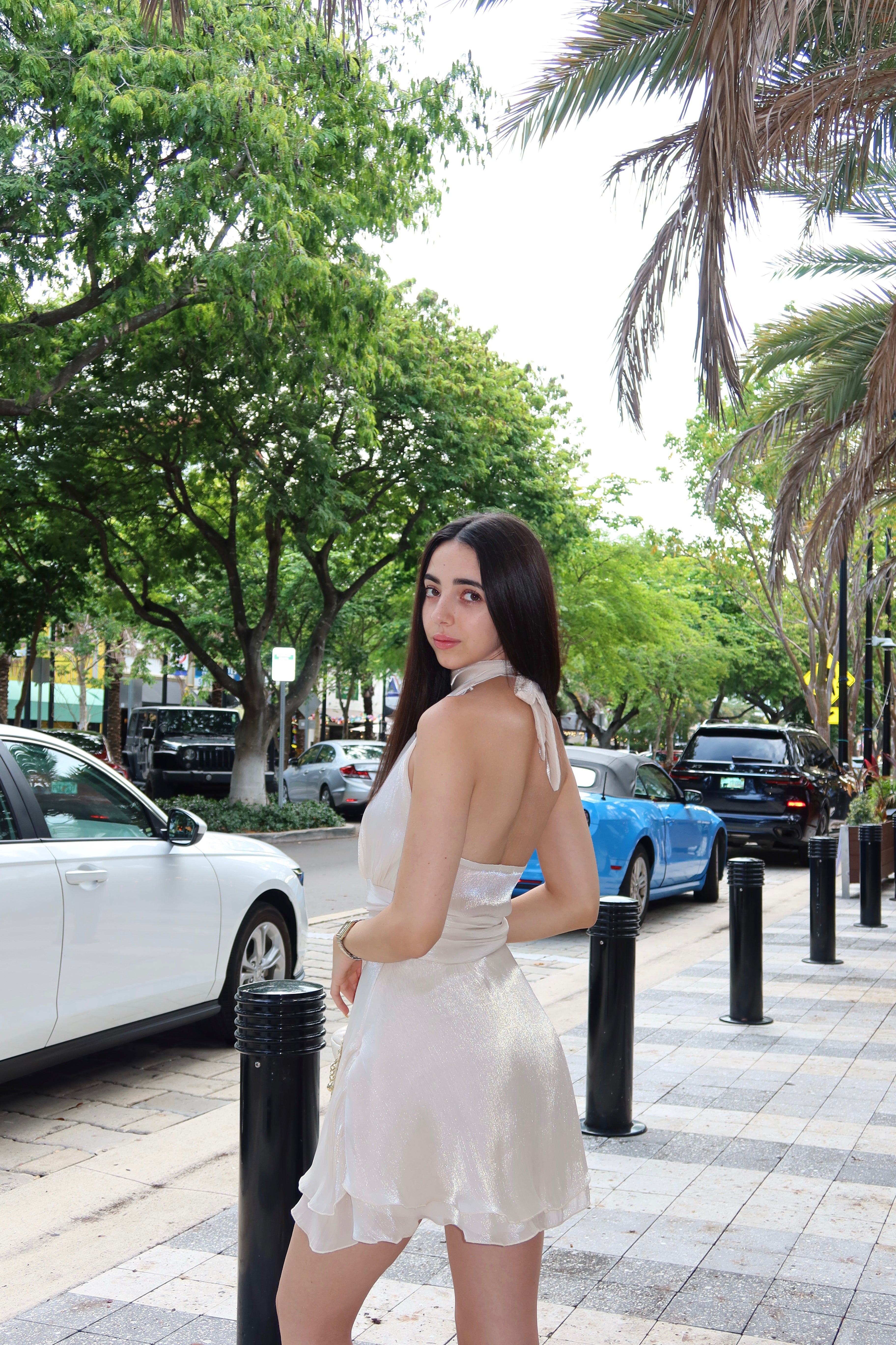Organza Mini Dress