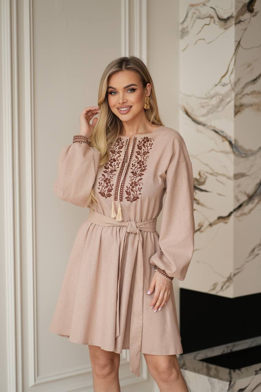 Elegant Embroidery Dress