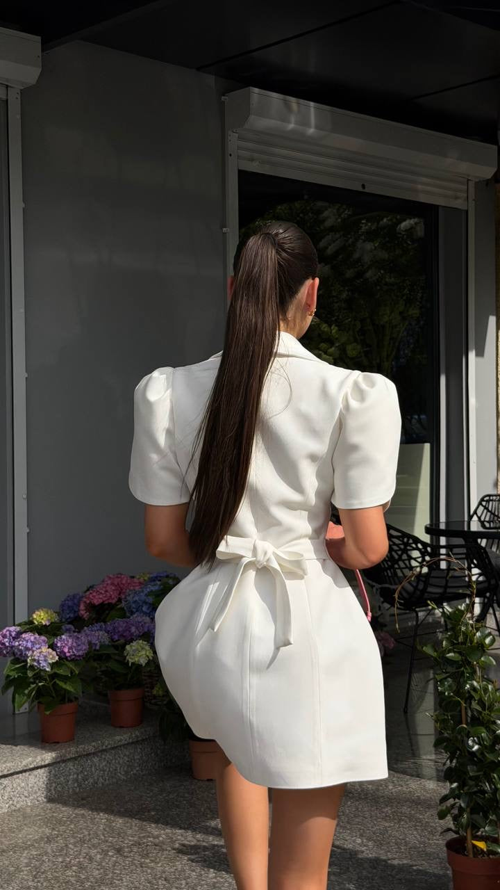 Elegant Mini Dress