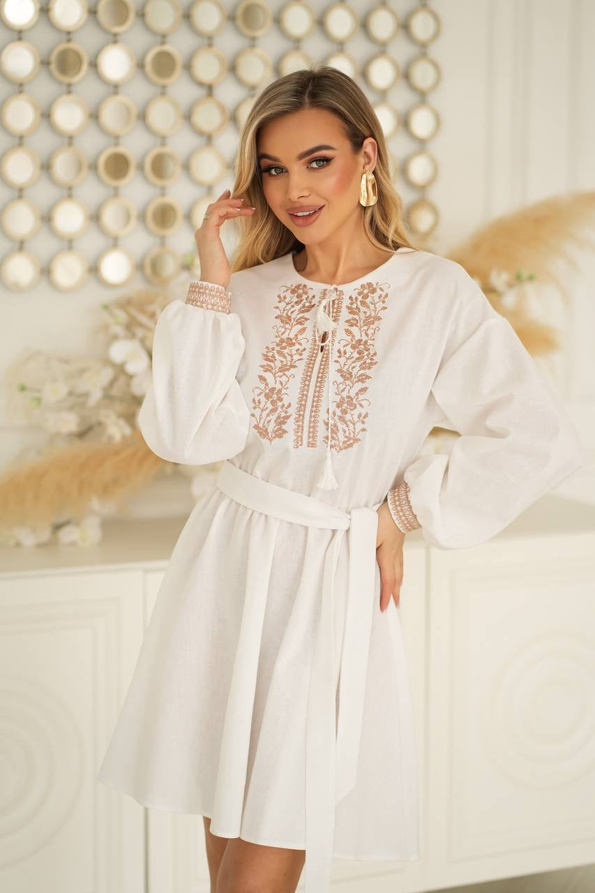 Elegant Embroidery Dress