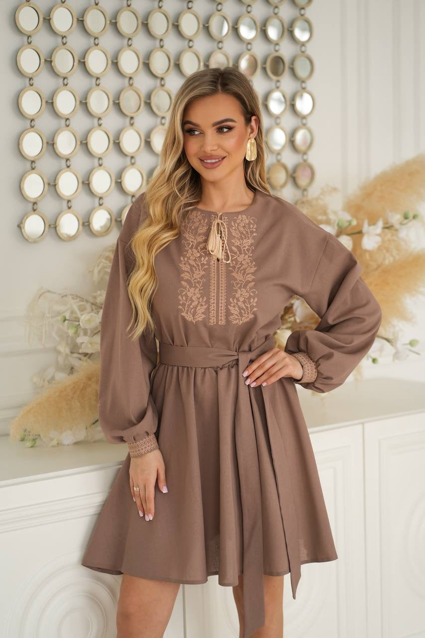 Elegant Embroidery Dress