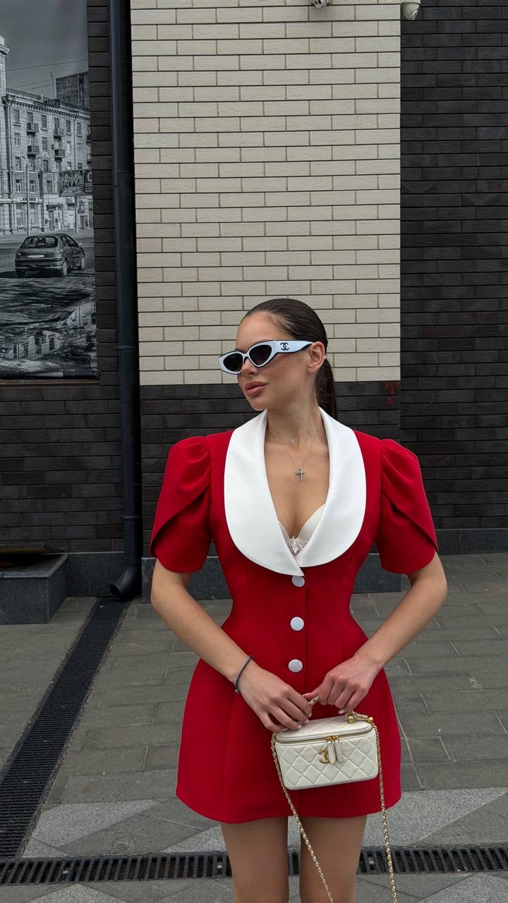 Elegant Mini Dress