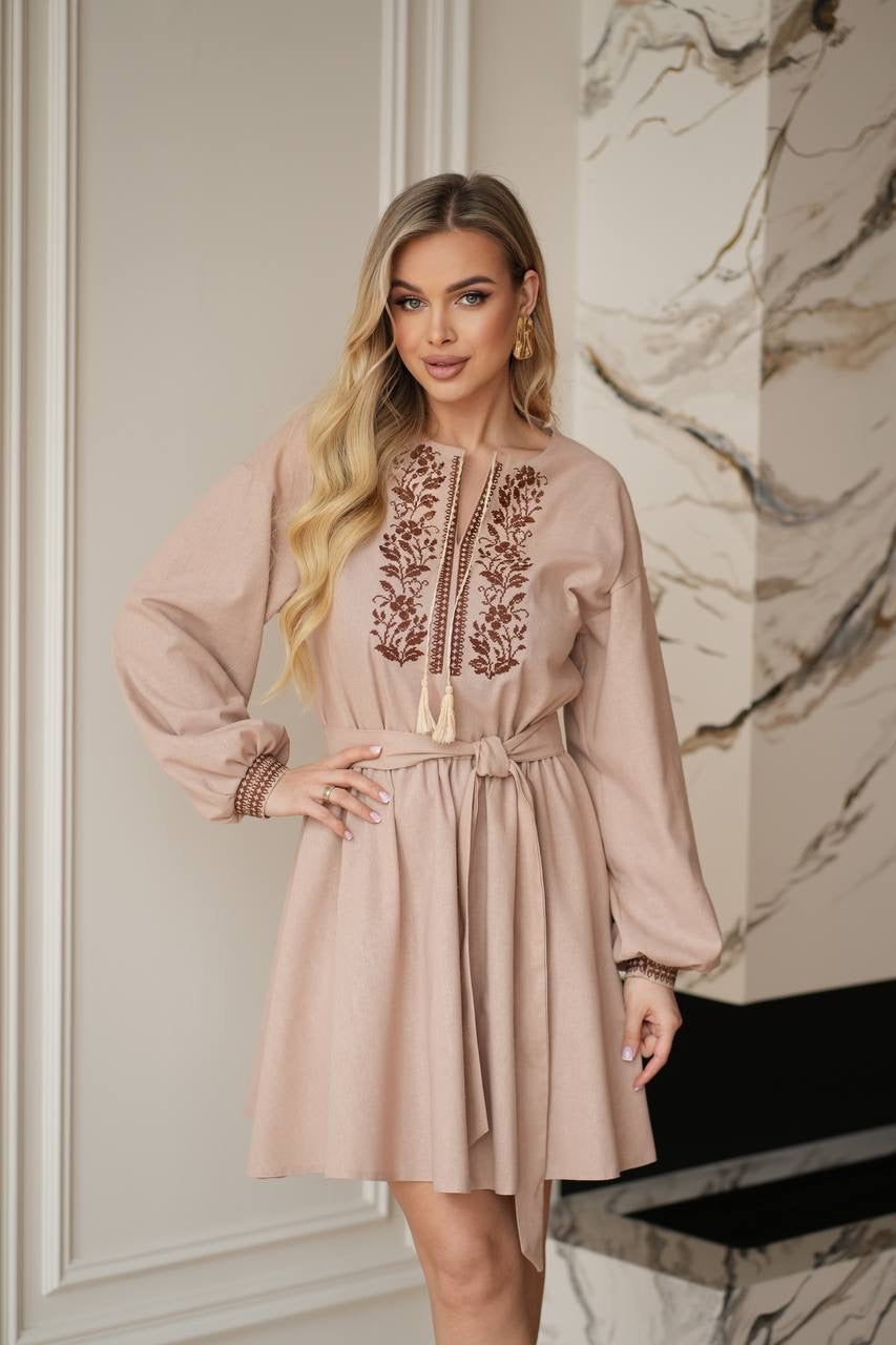Elegant Embroidery Dress