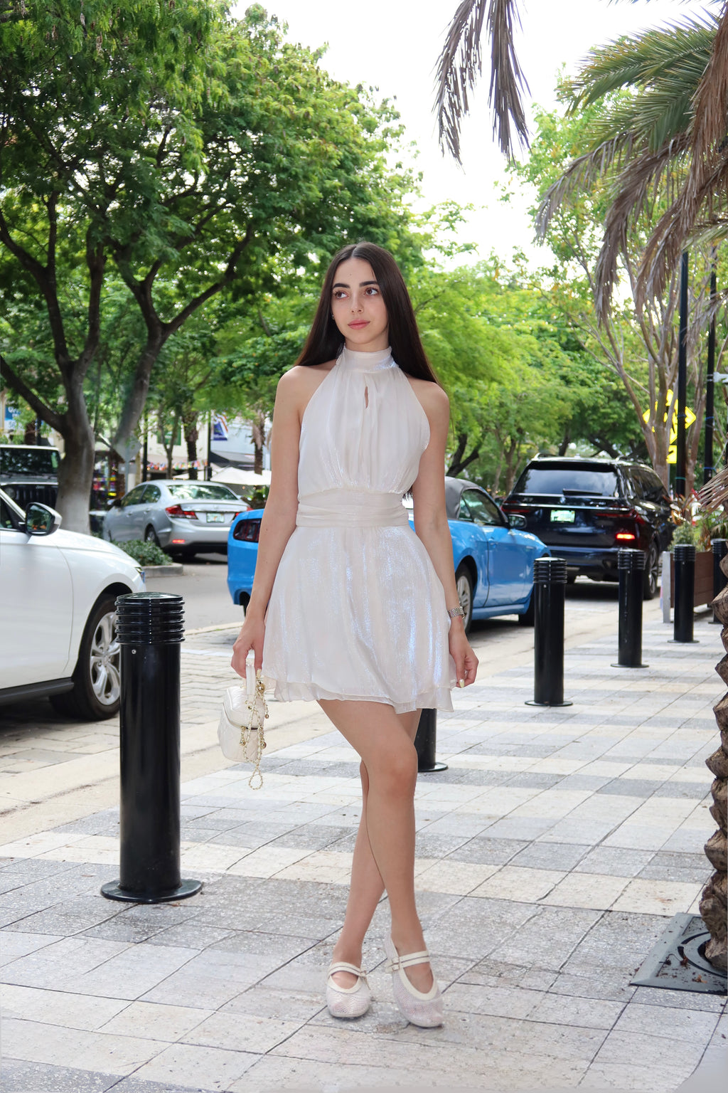 Organza Mini Dress