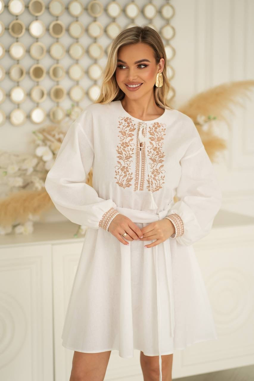 Elegant Embroidery Dress