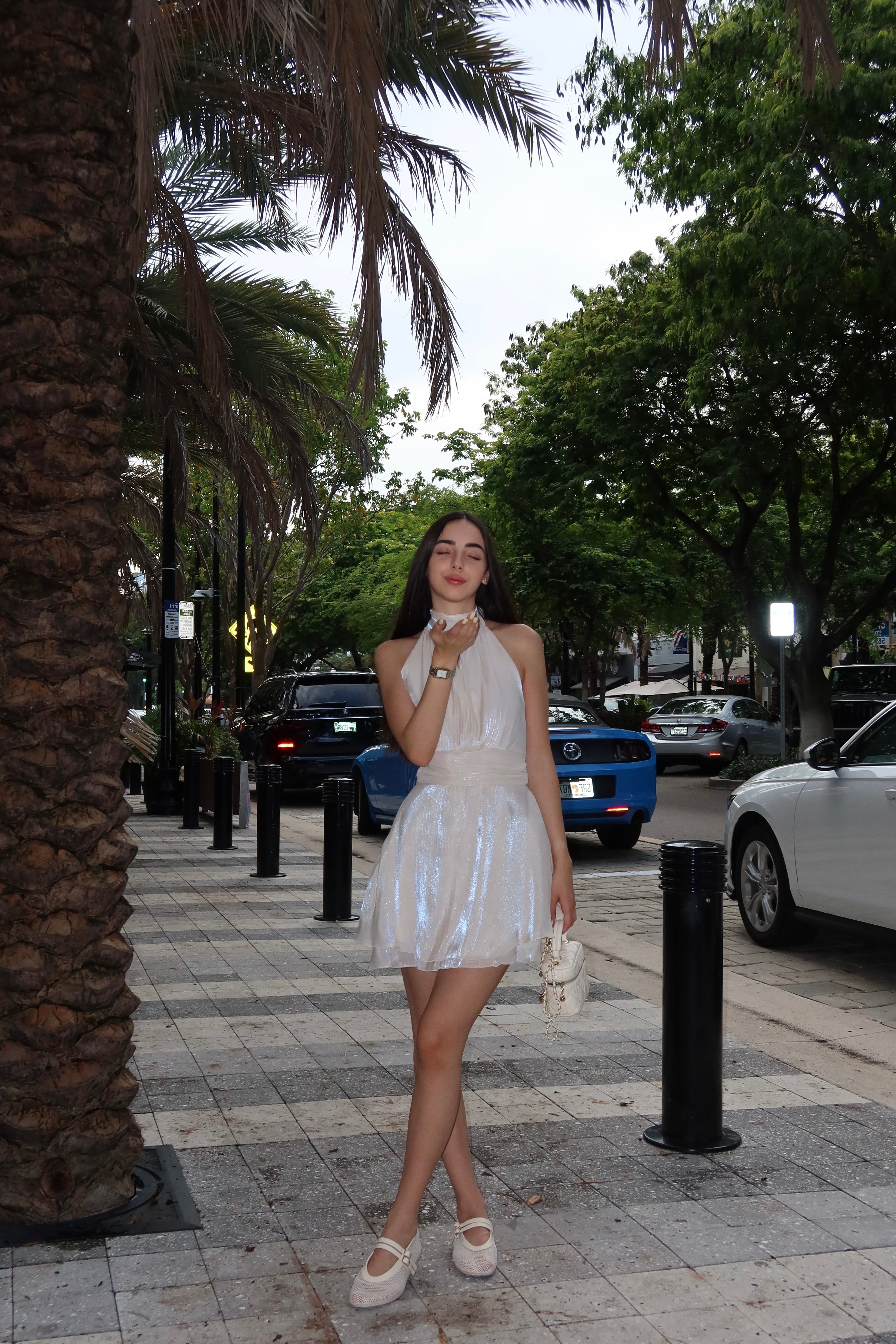 Organza Mini Dress