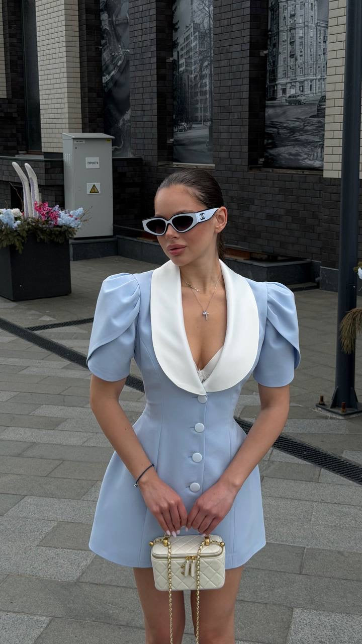 Elegant Mini Dress