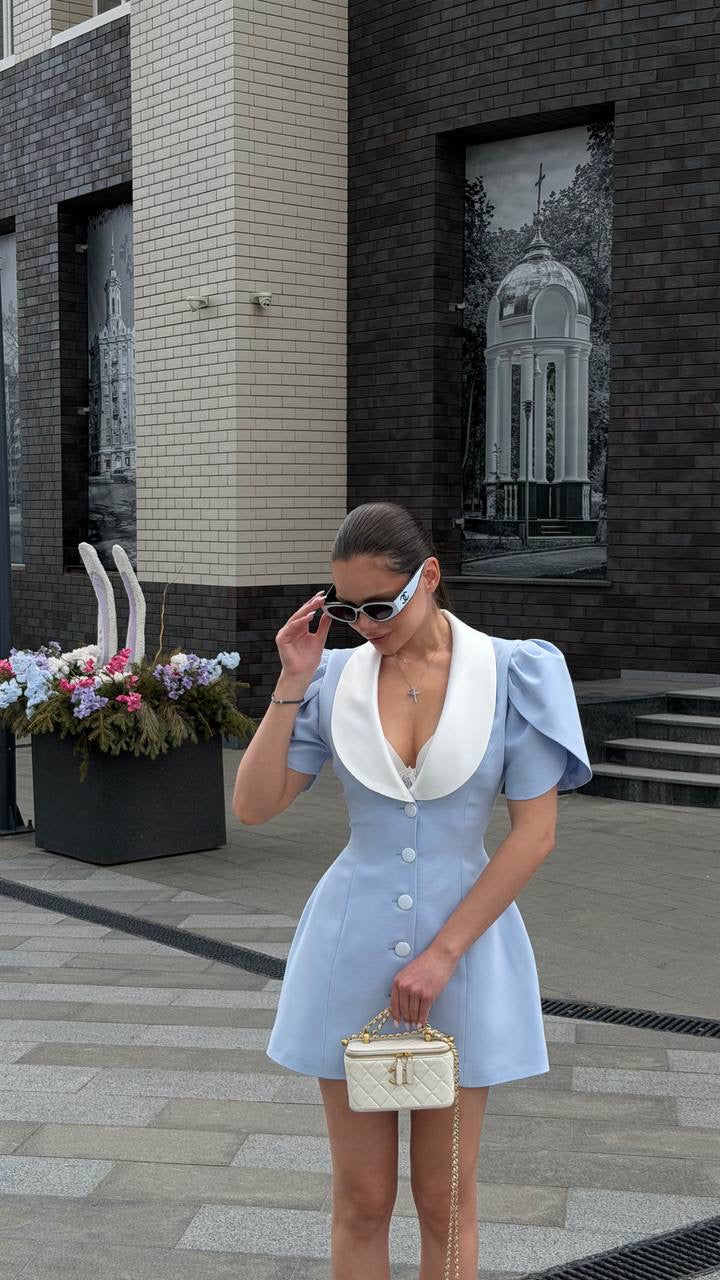 Elegant Mini Dress